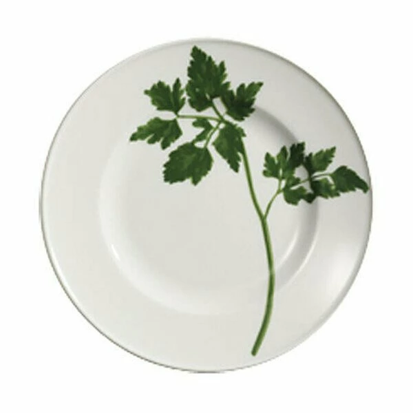 Dibbern Frühstücksteller 19 Cm Herbaticum Petersilie 1 Dibbern Frühstücksteller 19 Cm Herbaticum Petersilie