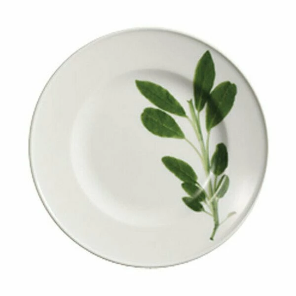 Dibbern Frühstücksteller 19 Cm Herbaticum Salbei 1 Dibbern Frühstücksteller 19 Cm Herbaticum Salbei